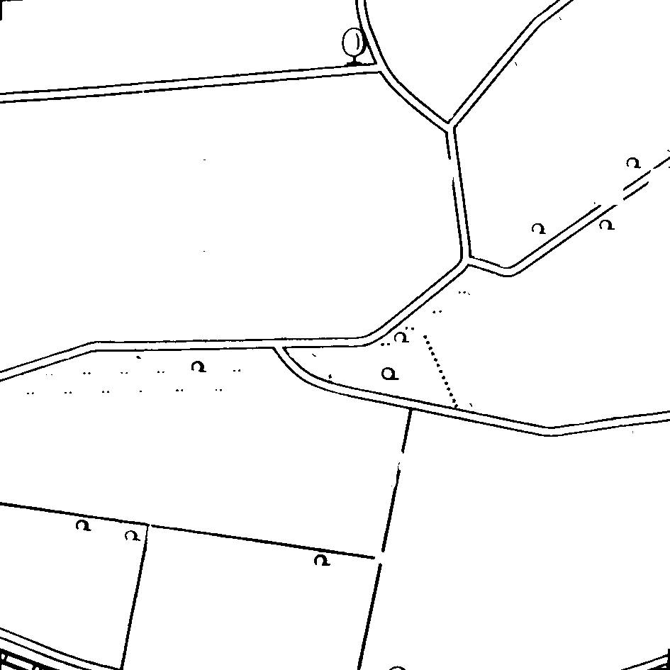 d2